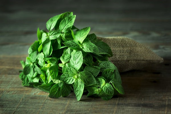 Effects of peppermint scent administration on cognitive video game performance