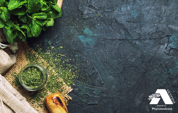 Peppermint Increases Muscular Output and Oxygen Intake